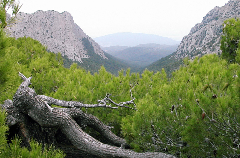Finca Liarte - Parque Regional de Sierra Espuña
